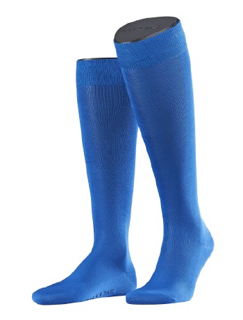 Falke Tiago Men's Knee High Socks matisse/olympic